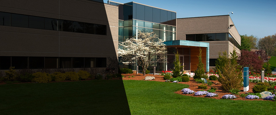 Skillman Landscapers