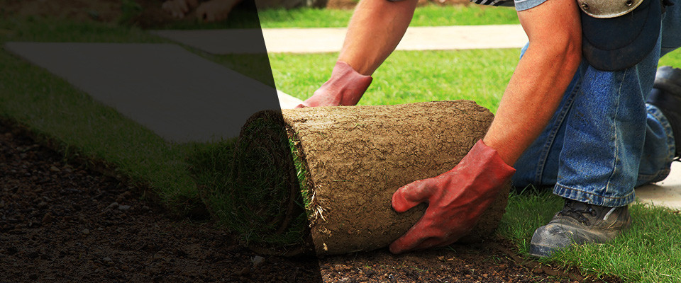 Skillman Landscapers